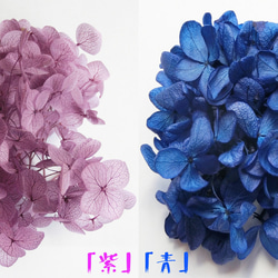 日本の夏2025 Creema限定 金魚 あじさい 還暦 誕生日 結婚 男性 女性 父 母 ホワイト 2枚目の画像