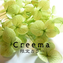 日本の夏2025 Creema限定 金魚 あじさい 還暦 誕生日 結婚 男性 女性 父 母 ホワイト 4枚目の画像