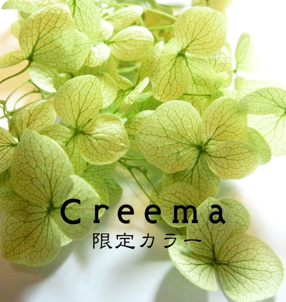 日本の夏2025 Creema限定 金魚 あじさい 還暦 誕生日 結婚 男性 女性 父 母 ホワイト 4枚目の画像