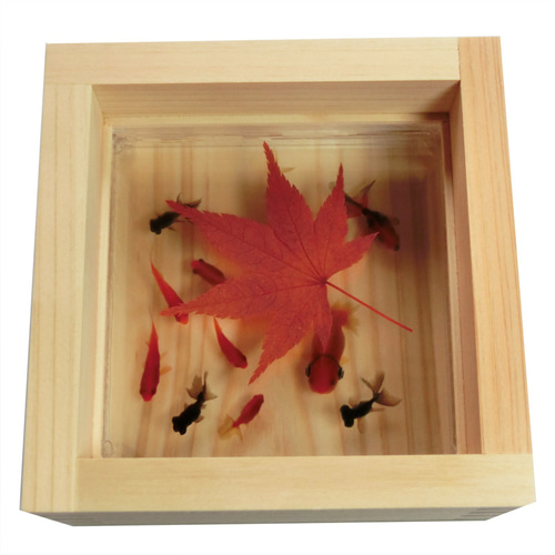 タイムセール 金魚アート 紅葉 もみじ 置物 プリザーブドフラワー グリーン 結婚祝い 男性 女性 プレゼント 金魚アート プリザーブドフラワー 寿