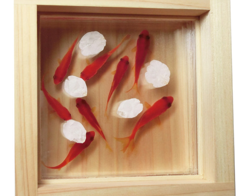 Amazon.co.jp: 樹脂金魚 金魚アート 癒しの めだか アート 「輝