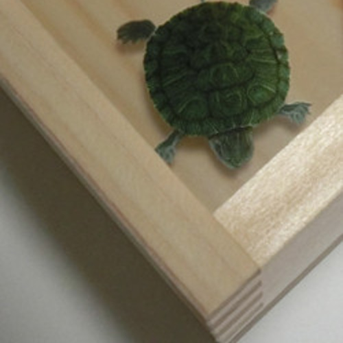 亀セット　 亀 　長寿 　置物 縁起物 園芸カメ Amazon.co.jp: ZHIZHUO 亀の置物 カメ かわいい 置物 金の亀