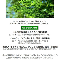 亀 カメ 金魚 出目金 アート 日本製 緑 長寿 縁起物 還暦 誕生日 結婚 ヒノキプレゼント 贈り物 玄関 うさぎ 亀 8枚目の画像