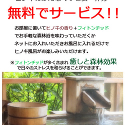 めだか メダカ アート ひのき ヒノキ 桧 金魚 ギフト 還暦 誕生日 退職 透明  置物 贈り物 プレゼント 送料無料 7枚目の画像