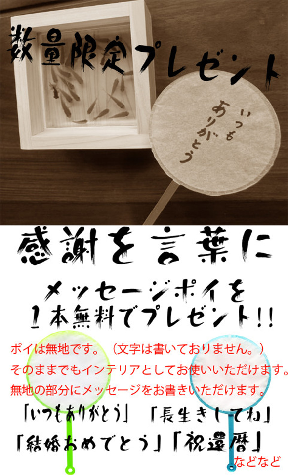 めだか メダカ アート ひのき ヒノキ 桧 金魚 ギフト 還暦 誕生日 退職 透明  置物 贈り物 プレゼント 送料無料 8枚目の画像