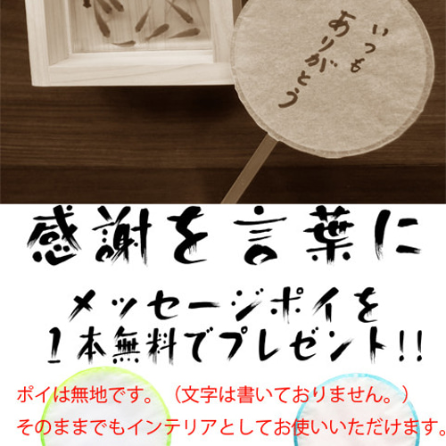 ポメラニアン 犬 イヌ いぬ クマノミ 桧 誕生日 ペット 動物 ポメラニアン 犬 イヌ いぬ クマノミ 桧 誕生日 ペット 動物