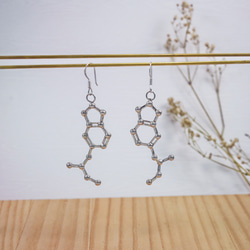 [US]エクスタシーの純銀製のイヤリングの化学 2枚目の画像