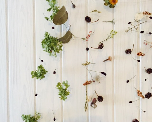 1_954b2ff3beb6cb752da9519b4a24