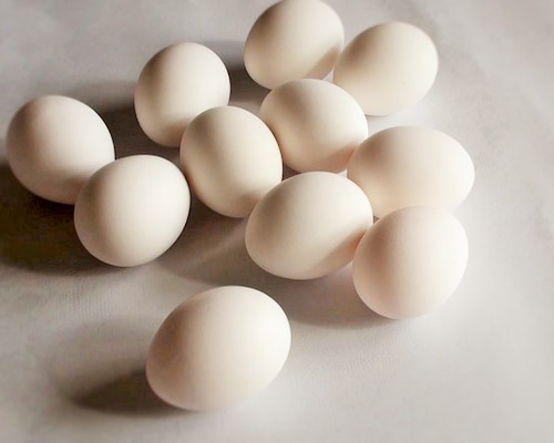 エッグアート用ガチョウの卵の殻15個と鶏の卵の殻1個 エッグアート用 ガチョウの卵の殻 5個セットの通販 by ATELIER