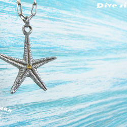 【Diving silver】925銀海洋潛水銀飾--鑲鑽大海星項鍊 第3張的照片
