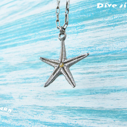 【Diving silver】925銀海洋潛水銀飾--鑲鑽大海星項鍊 第4張的照片