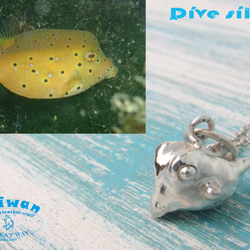 【Diving silver】925銀海洋潛水銀飾--迷你3D箱型河魨項鍊 第6張的照片
