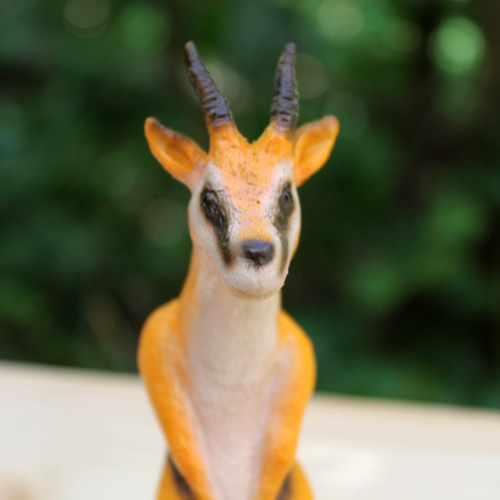 動物セル画 Yahoo!オークション - セル画 背景画 原画 A3 セット 無人島物語X トウ