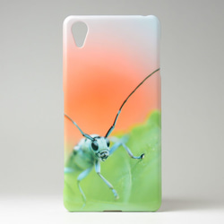 【INSECT】iphone・Android対応 スマホケース ラミーカミキリ 送料無料　【003】 1枚目の画像