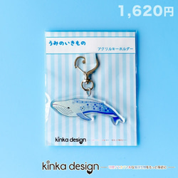 【Kinkadesign】アクリルキーホルダー　シロナガスクジラ　海洋生物（うみのいきもの）【052】 1枚目の画像