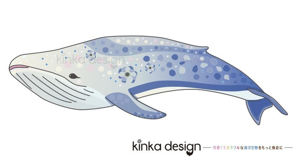 【Kinkadesign】アクリルキーホルダー　シロナガスクジラ　海洋生物（うみのいきもの）【052】 3枚目の画像