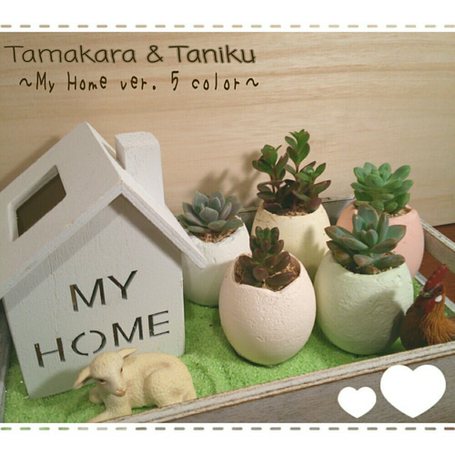 □多肉植物にぴったり♪ たまからちゃん【たまご型植木鉢】1013 □多肉植物にぴったり♪ たまからちゃん【たまご型植木鉢】1013