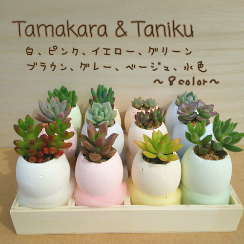 59-b. 細かく たまご鉢 リメイク鉢 ネコ プランター 多肉植物