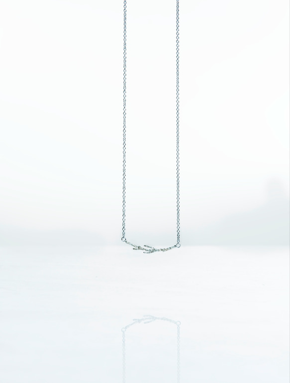 Little Silver Fruit Series: Long Necklace 2枚目の画像