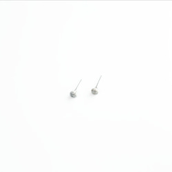 Little Silver Fruit Series: Stud Earrings 2枚目の画像