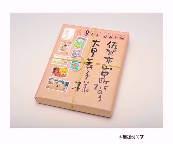 *送料無料*山頭火「山へ空へ摩訶般若波羅蜜多心経」桐の額入り原画 M52 3枚目の画像