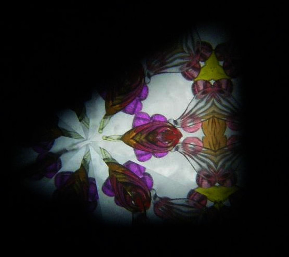 蔦ノ葉 －Tsuta no Ha －（赤） 3枚目の画像