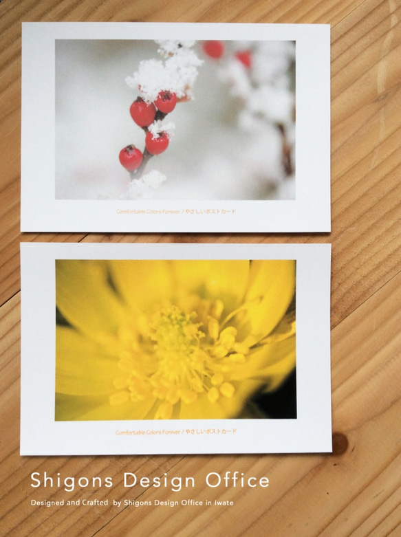 ◆Thanks Sale◇ Yasashii in Autumn&Winter. ポストカード・セット pss-3035 5枚目の画像