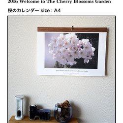 2016 Welcome to The Cherry Blossoms Garden(A4) 1枚目の画像