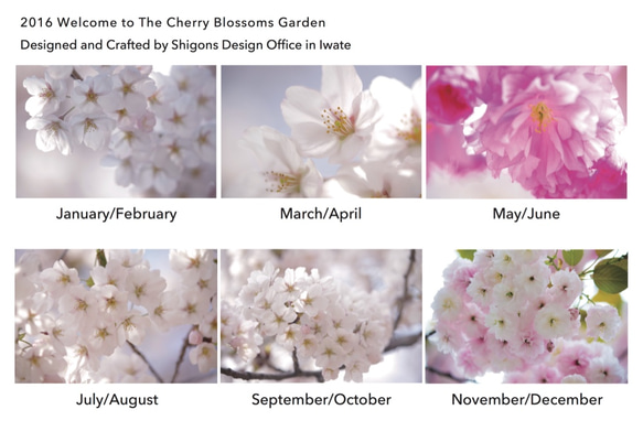 2016 Welcome to The Cherry Blossoms Garden(A4) 2枚目の画像