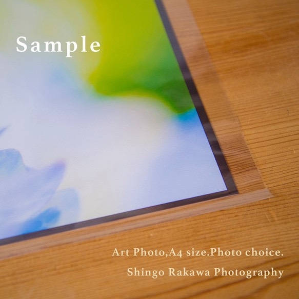 ■ Art Photo,A4 size.Photo choice ■ 2枚目の画像