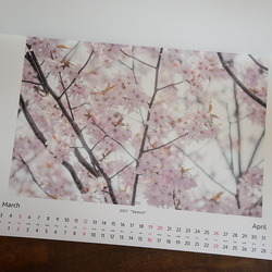 2017 Calendar "Sketch" / Photograph of Leica and Nikon 4枚目の画像
