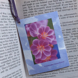 きれいなフラワー・ブックマーク　カードタイプ １　(Shigons Bookmark)　 1枚目の画像