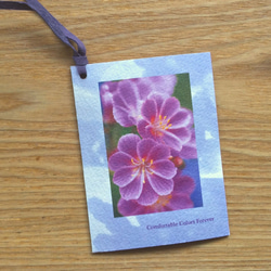 きれいなフラワー・ブックマーク　カードタイプ １　(Shigons Bookmark)　 4枚目の画像