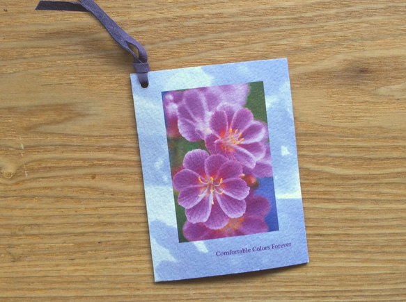 きれいなフラワー・ブックマーク　カードタイプ １　(Shigons Bookmark)　 4枚目の画像