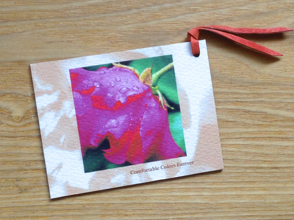 バラのブックマーク　カードタイプ２ (Shigons Bookmark) 4枚目の画像