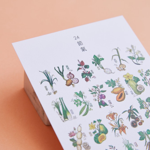 台湾フレーバーポストカード6をグループに ポストカード OUNCE