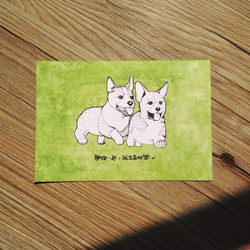 【動物系列】哥基 柯基 兄弟 填色明信片 (2張) 第1張的照片