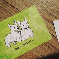 【動物系列】哥基 柯基 兄弟 填色明信片 (2張) 第2張的照片