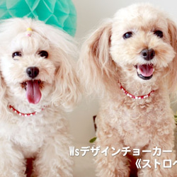 犬の本革ストーンチョーカー レッド《ストロベリー》 1枚目の画像