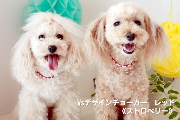 犬の本革ストーンチョーカー レッド《ストロベリー》 1枚目の画像