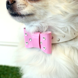 犬のポップリボンチャーム《エナメル ピンク》 5枚目の画像
