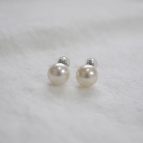 [此珍珠] K14WG珍珠耳環7.5-8毫米Akoya珍珠一粒白金 第2張的照片