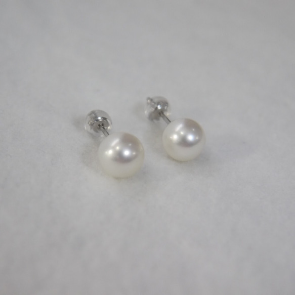 [Untoned] 鉑金單顆珍珠耳環 7-7.5 毫米 Akoya 珍珠 pt900 pt 耳釘 第3張的照片