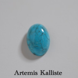 Artemis Kalliste ステンレスピアス　‟ターコイズ” 1枚目の画像