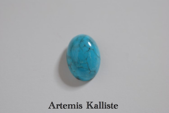 Artemis Kalliste ステンレスピアス　‟ターコイズ” 1枚目の画像