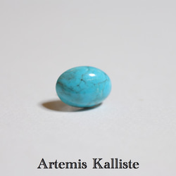 Artemis Kalliste ステンレスピアス　‟ターコイズ” 2枚目の画像