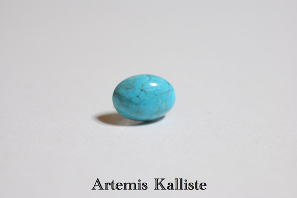 Artemis Kalliste ステンレスピアス　‟ターコイズ” 2枚目の画像