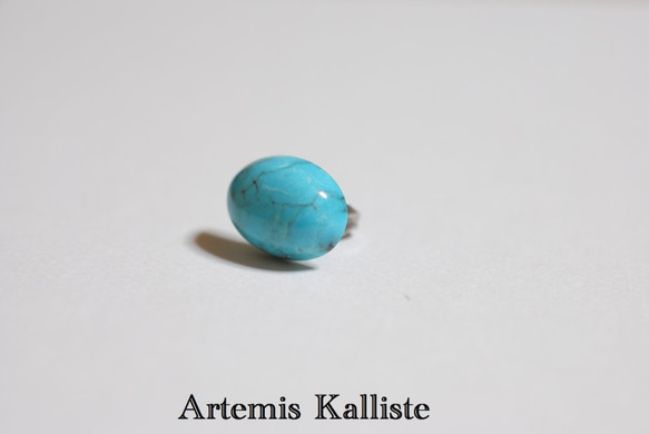 Artemis Kalliste ステンレスピアス　‟ターコイズ” 3枚目の画像