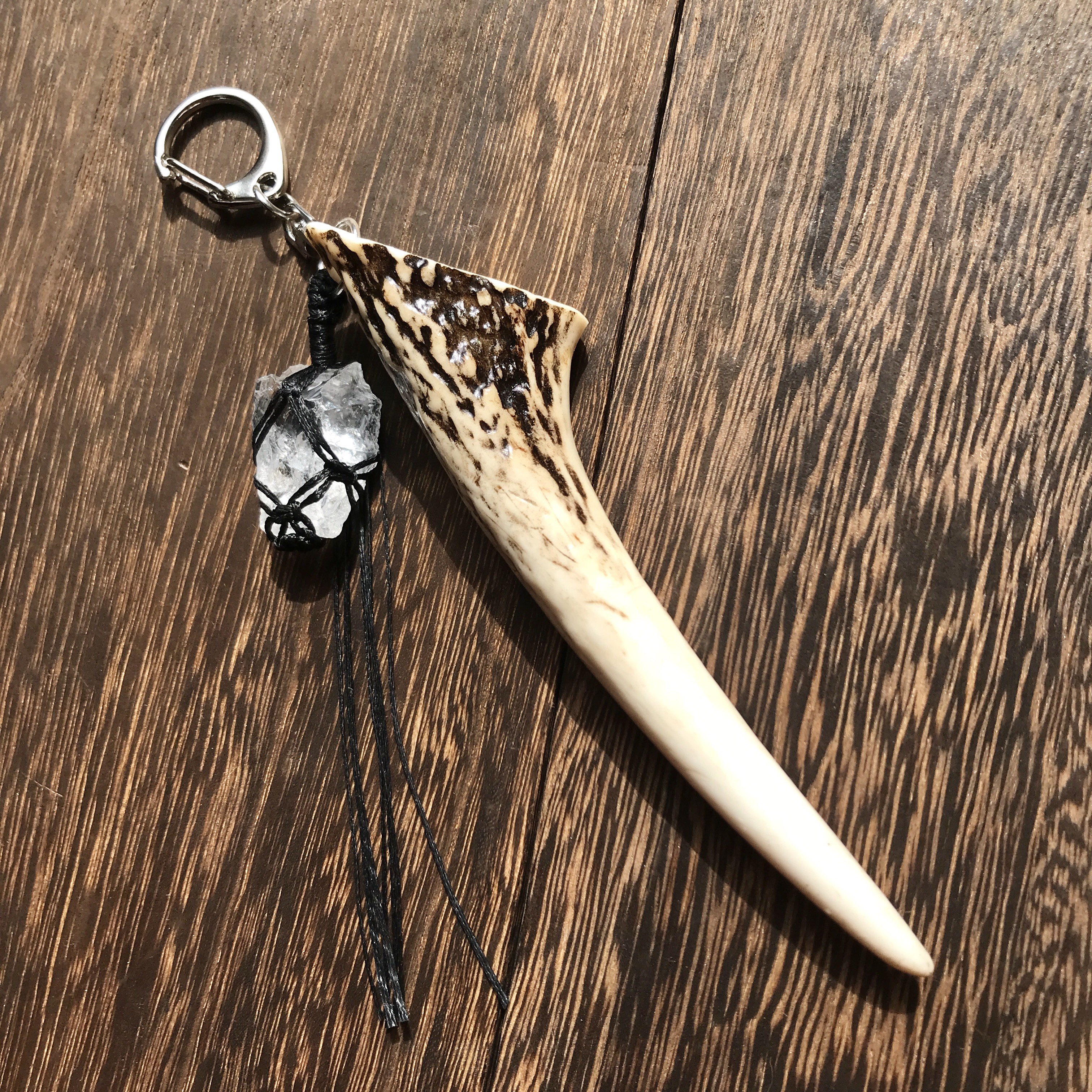 鹿の角と熊の牙キーホルダー シカの角キーホルダー ＃14 - 和歌山県 熊野ジビエ 公式