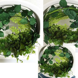プリザーブドグリーン　スタイリッシュな陶器両面アレンジ枯れない本物のグリーンを 2枚目の画像